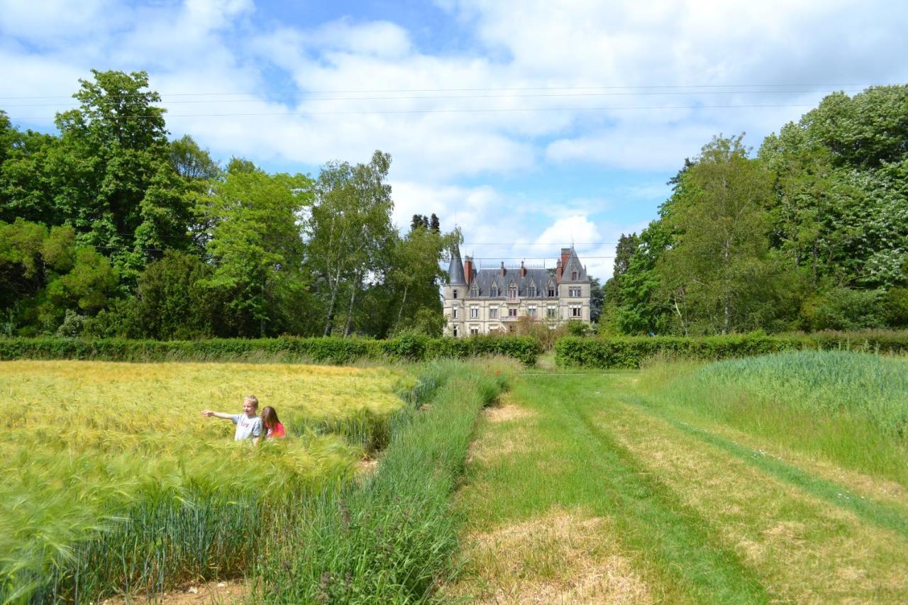 Hotel Château Le Boisrenault à Buzançais Extérieur photo